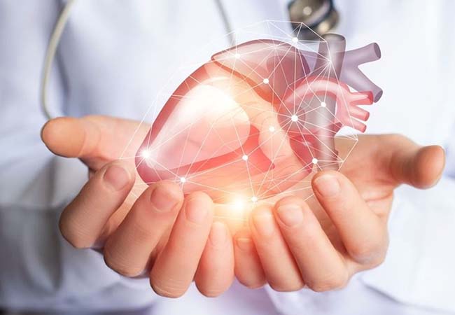 Khoai lang có vai trò vô cùng quan trọng đến tim mạch